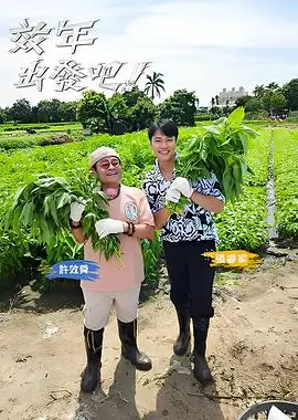 收藏清单重排资讯配图，榜单卡片与紫色灯带